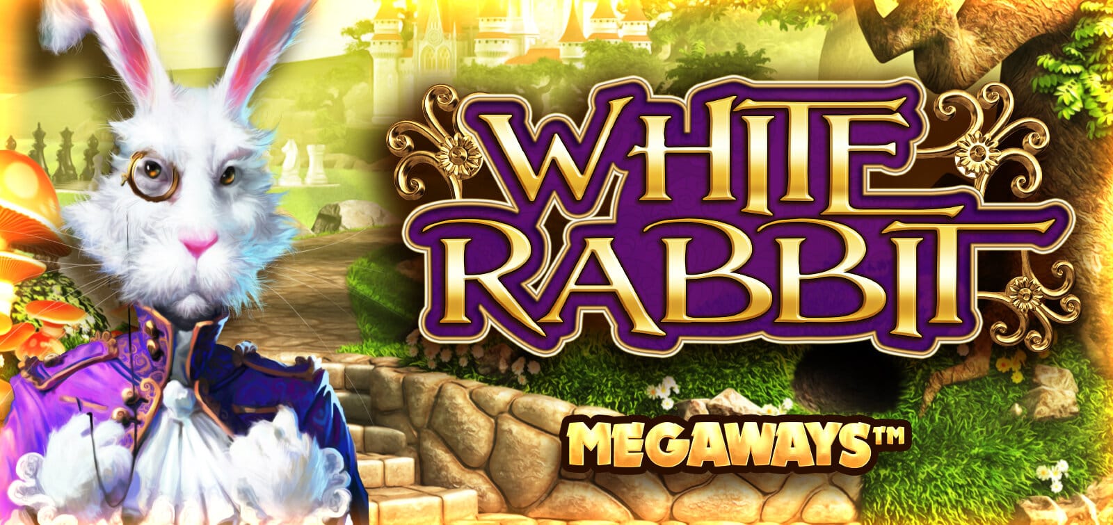 Promo Image of White Rabbit